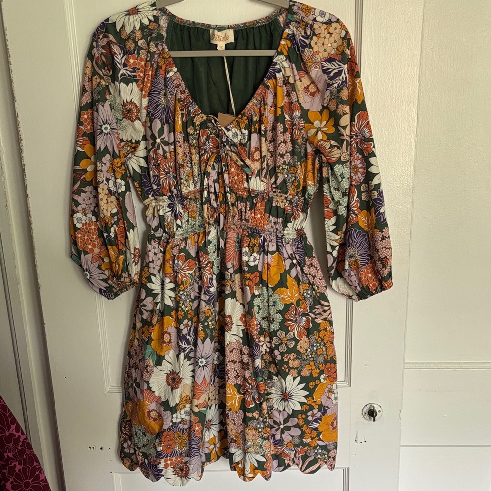Listicle Floral Multicolor Dress